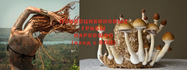 амф Инта