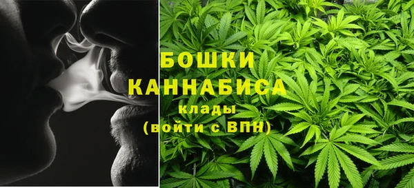 амф Инта