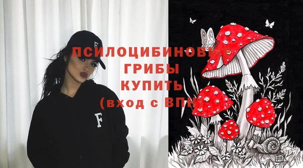 стаф Иннополис