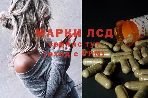 амф Инта