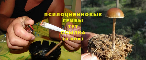 стаф Иннополис