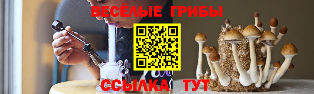 Псилоцибиновые грибы мицелий Кандалакша